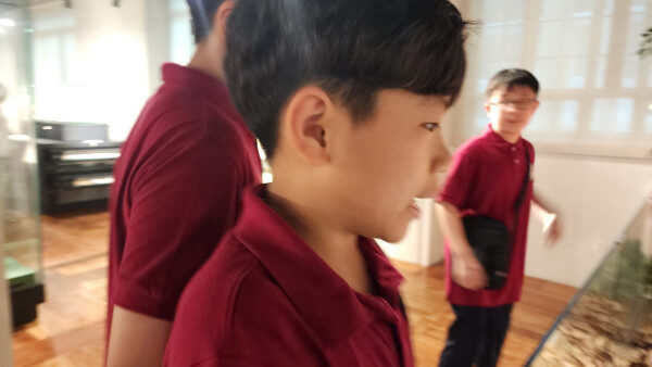 thumb-977659018_d3B95n4s_632adfc7cd18c836f4118b2f6272a72f1d14aa68_600x450.jpg