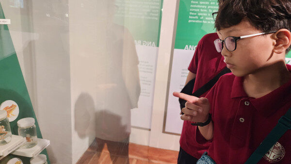 thumb-977659018_0FU7fZGi_643fcff993d8d323b6fc8d13ed611fcc96f5f7c0_600x450.jpg