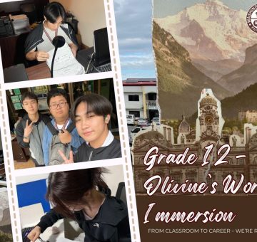 Grade 12 Work Immersion